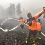 Petugas memadam kebakaran hutan Kalimantan Selatan - FOTO AFP