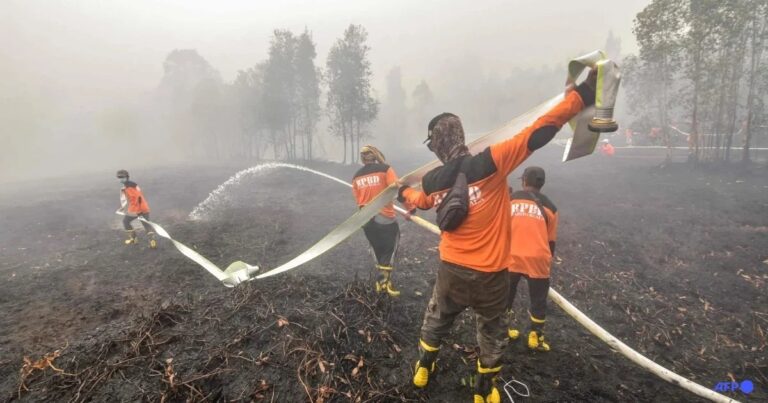 Petugas memadam kebakaran hutan Kalimantan Selatan - FOTO AFP